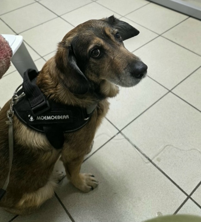 Санкт-Петербург и все