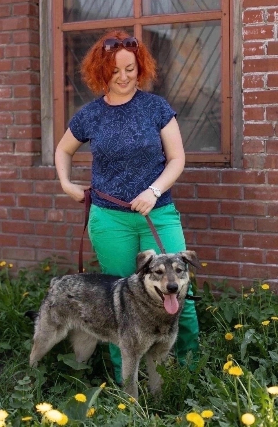 Найдена собака в Других городах — фото объявления