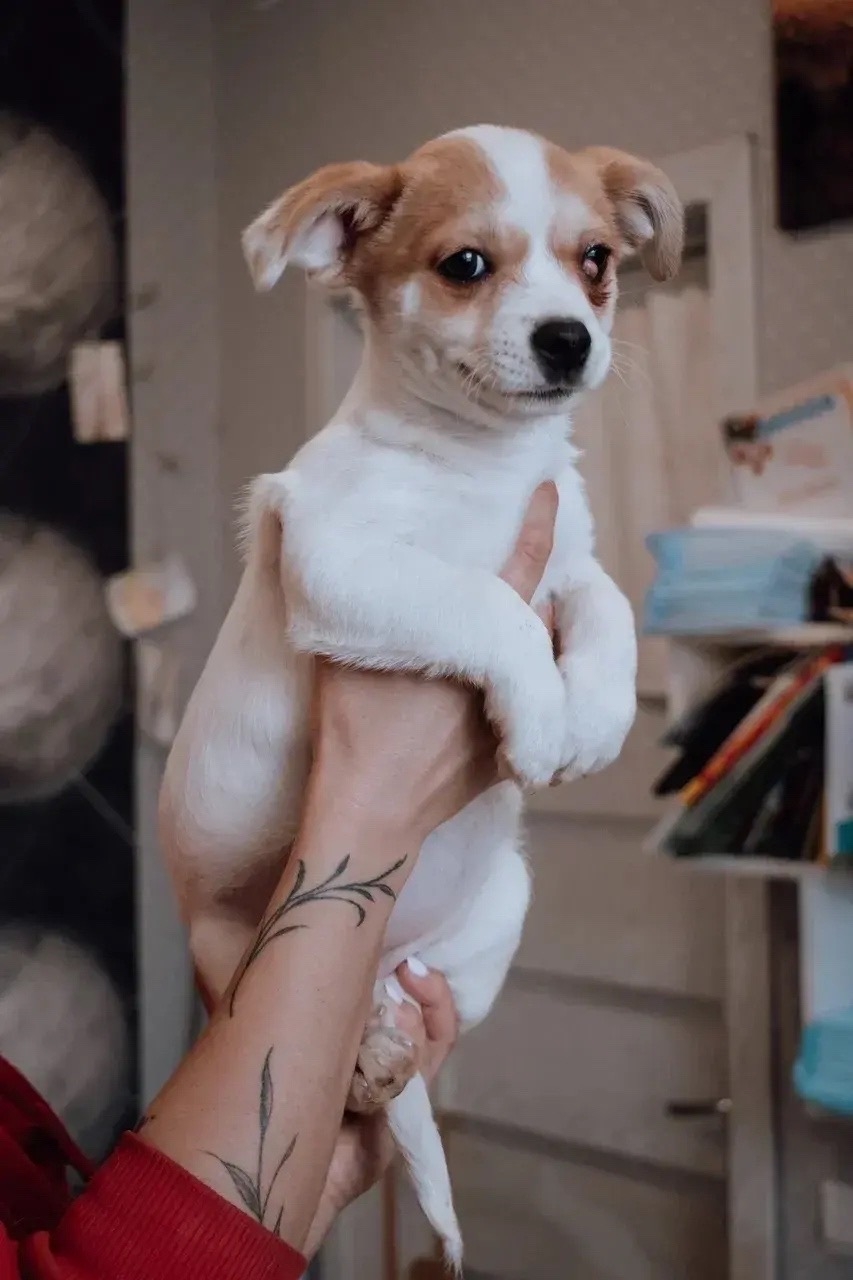 🥕🥕🥕А хотите сериал «Любовь-Морковь» лет на 15?