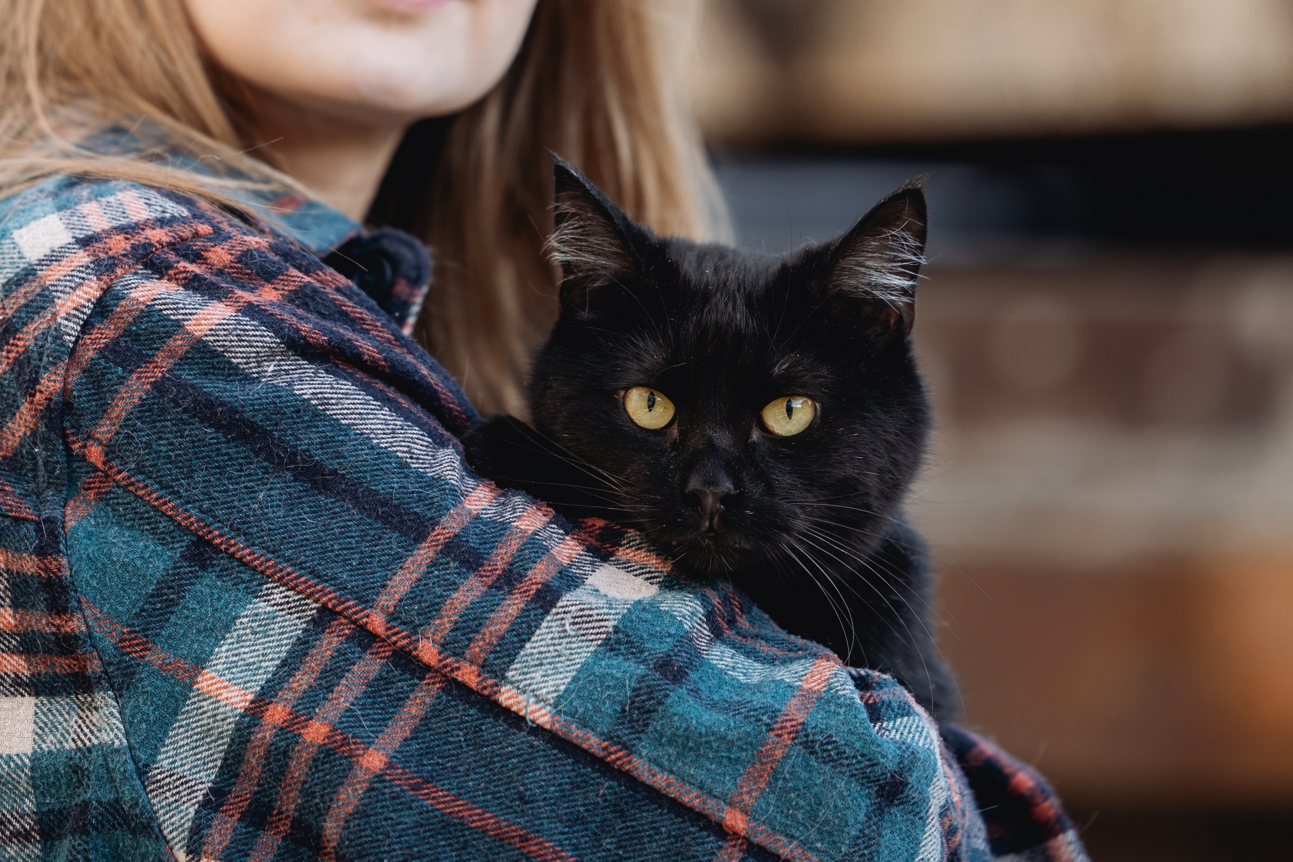 Этот чёрный боец по имени Вася прошёл через такое, что в страшном сне не приснится. Однажды зимой он сильно замёрз и нашёл единственное теплое место — под капотом автомобиля. Свернулся калачиком, усну