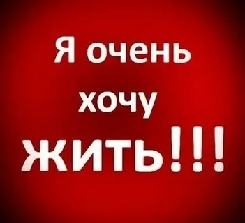 Найдена кошка в Других городах — фото объявления