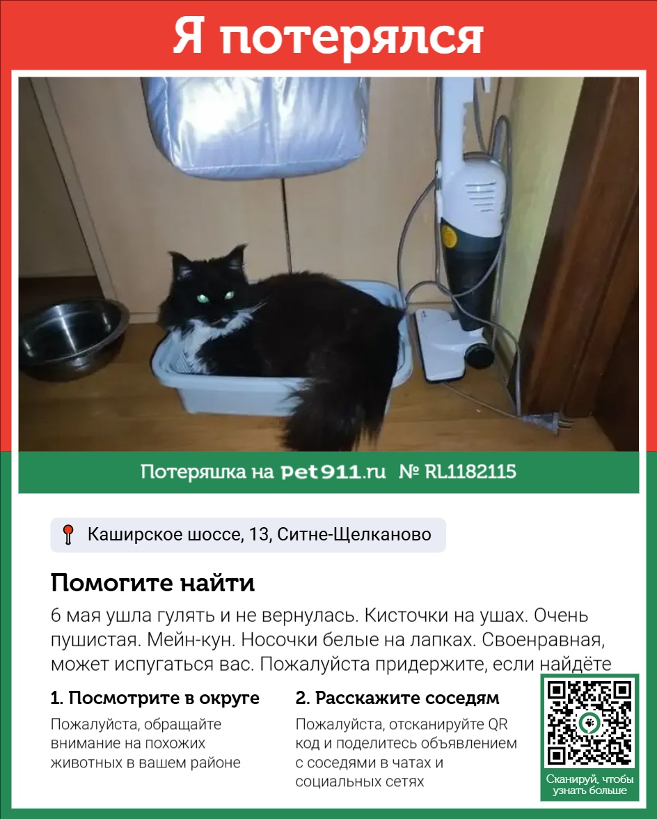 Найдена кошка в Москве — фото объявления