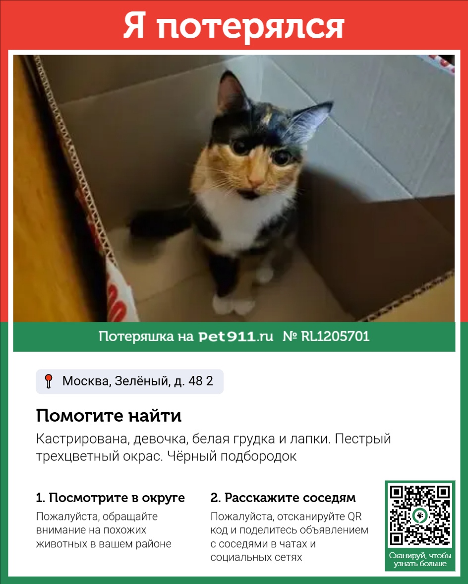 Найдена кошка в Москве — фото объявления