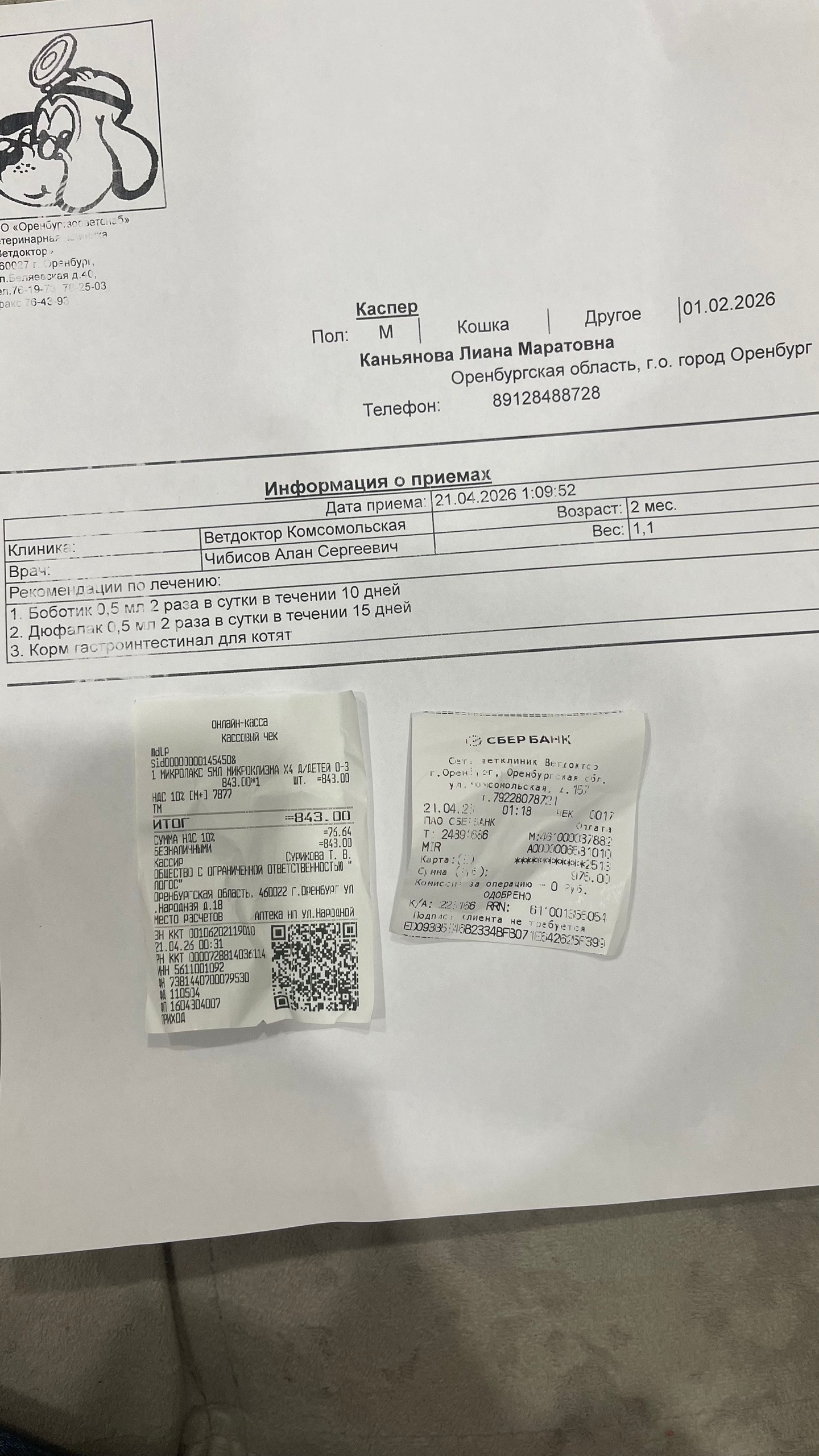 Объявление о питомце в Оренбурге — 🆘🆘🆘❗️Лаванда ❗️ждет ❗️помощи❗️ от добрых людей ❤️ дети нашли котенка на улице,у него порвана…