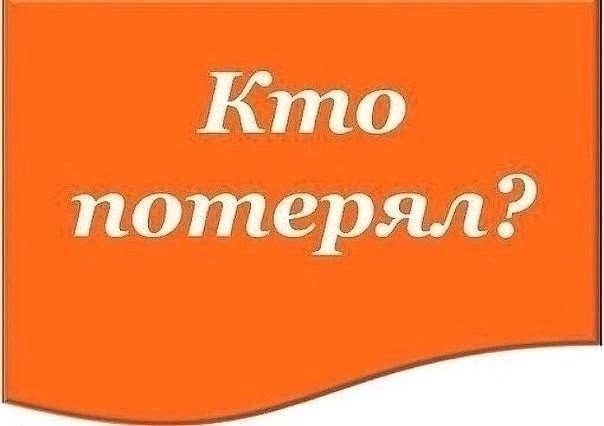 Найдена кошка в Оренбурге — фото объявления