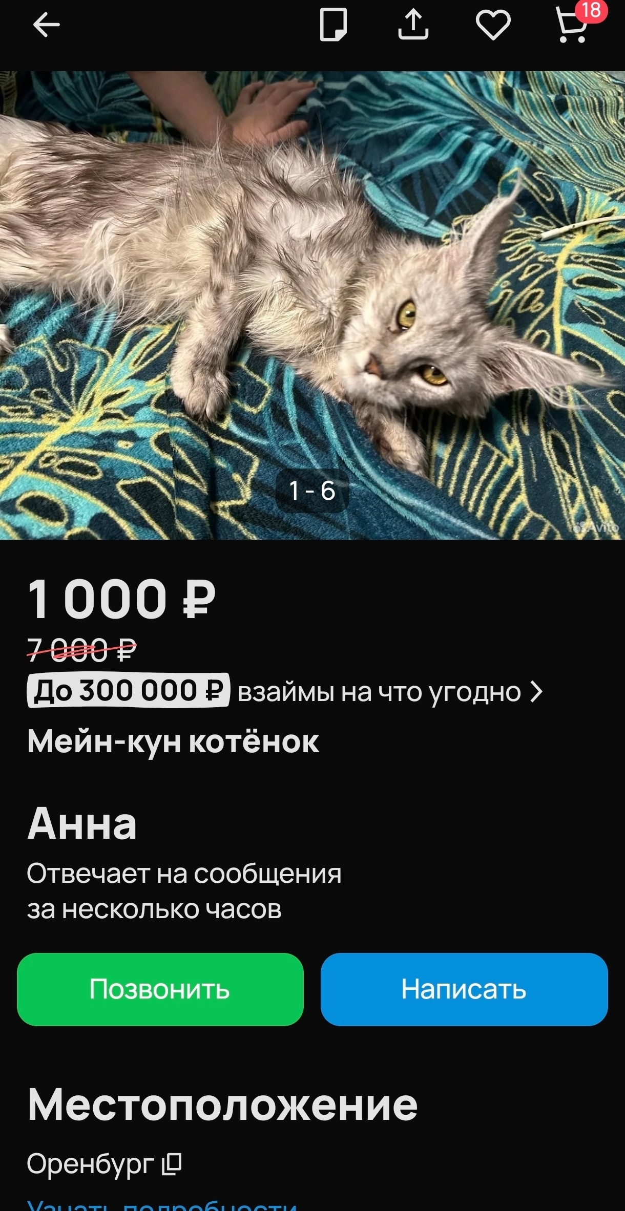 Объявление о питомце в Оренбурге — фото объявления