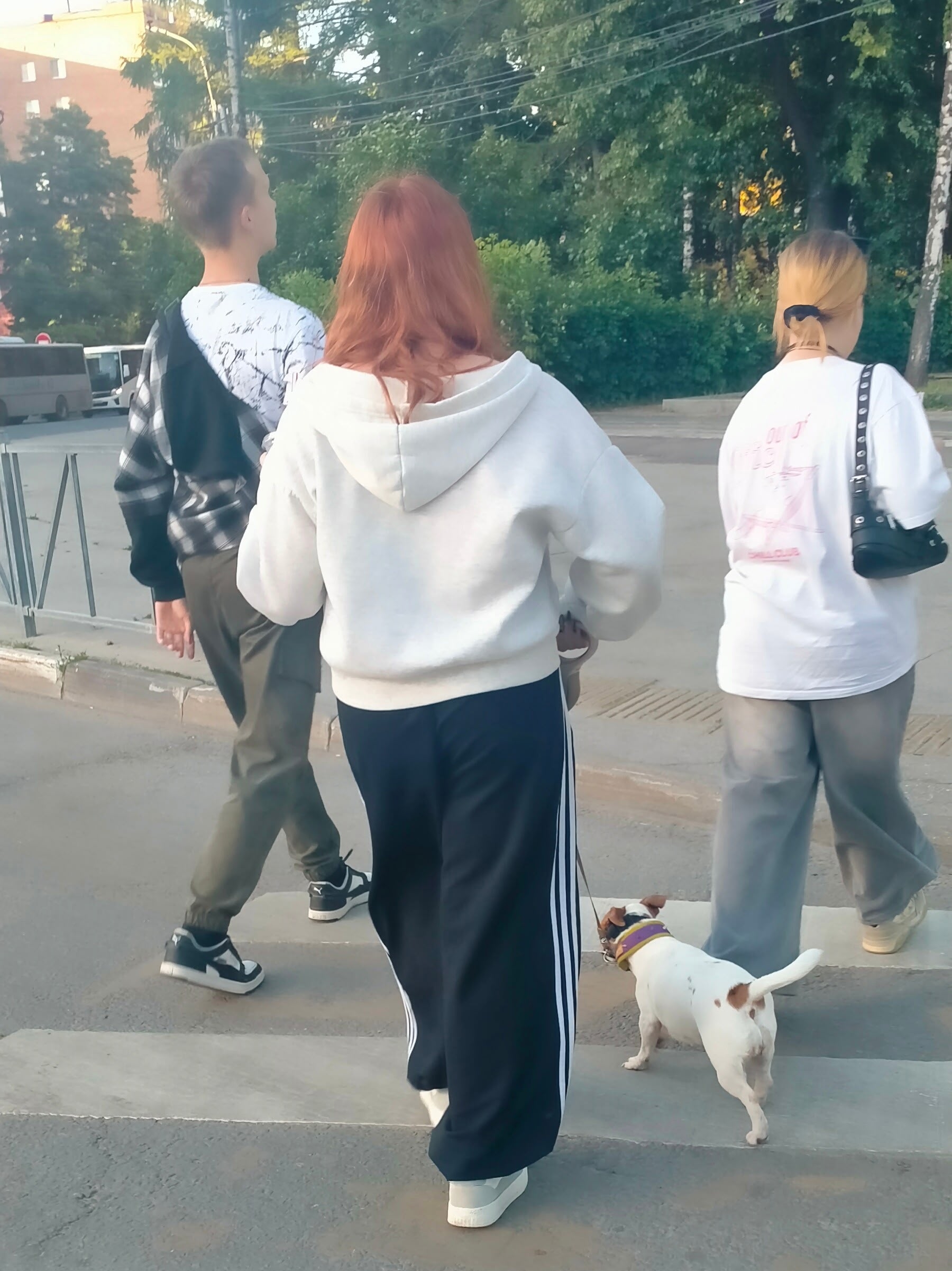 Найдена собака в Рязани — фото объявления