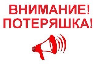 Найдена собака в Брянске — фото объявления