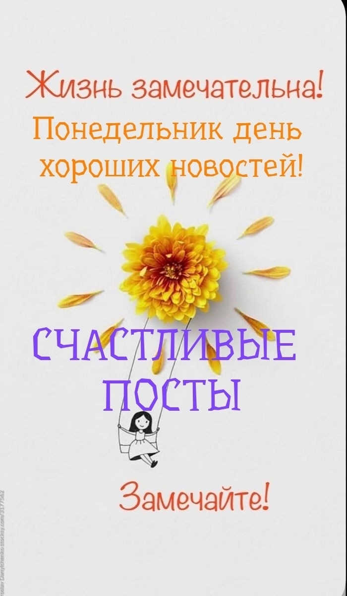 Объявление о питомце в Симферополе — фото объявления