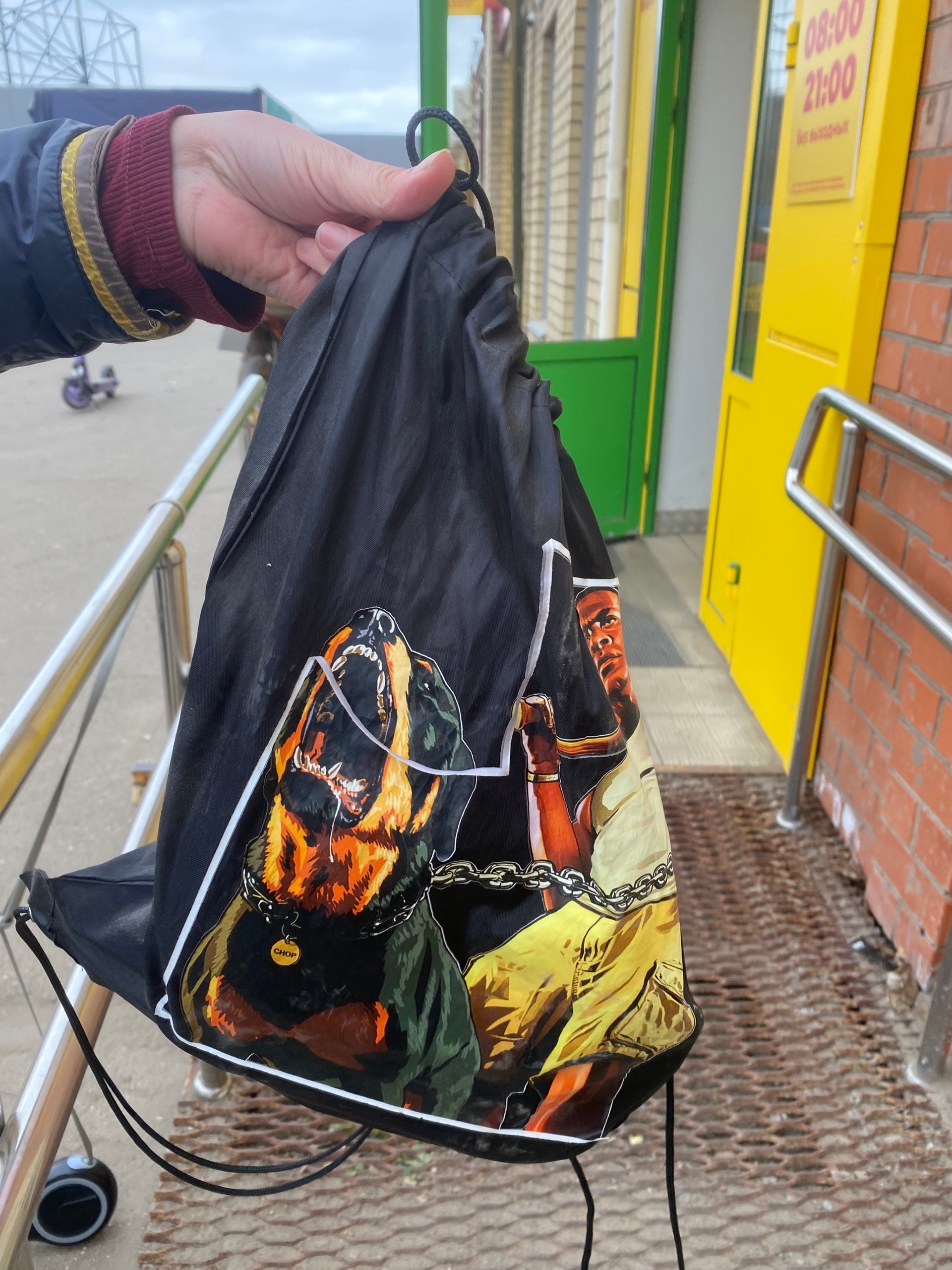 Объявление о питомце в Череповце — фото объявления