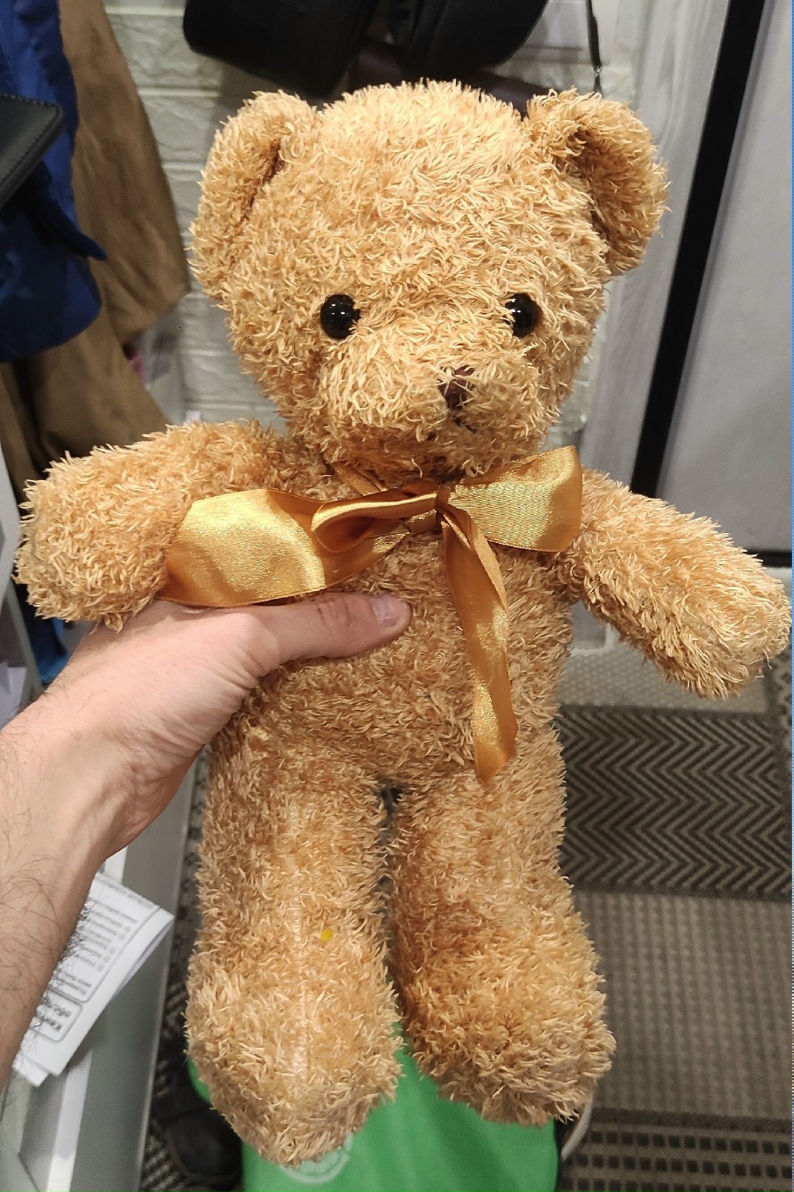 Объявление о питомце в Череповце — фото объявления