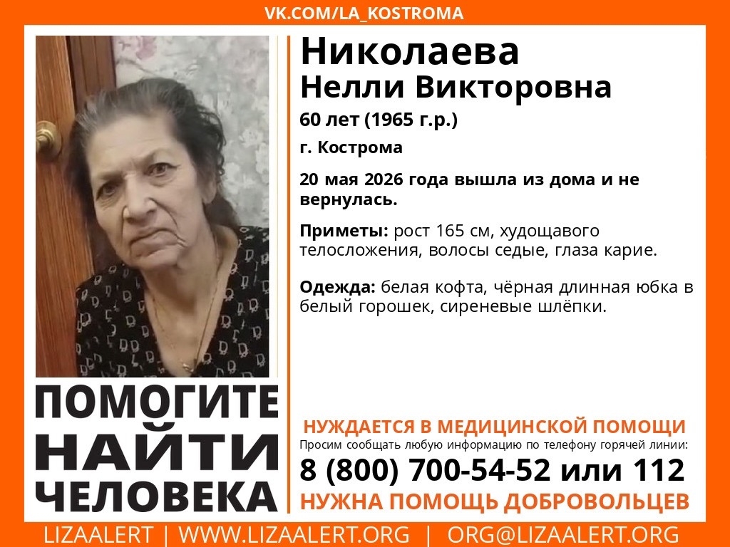 Объявление о питомце в Костроме — фото объявления