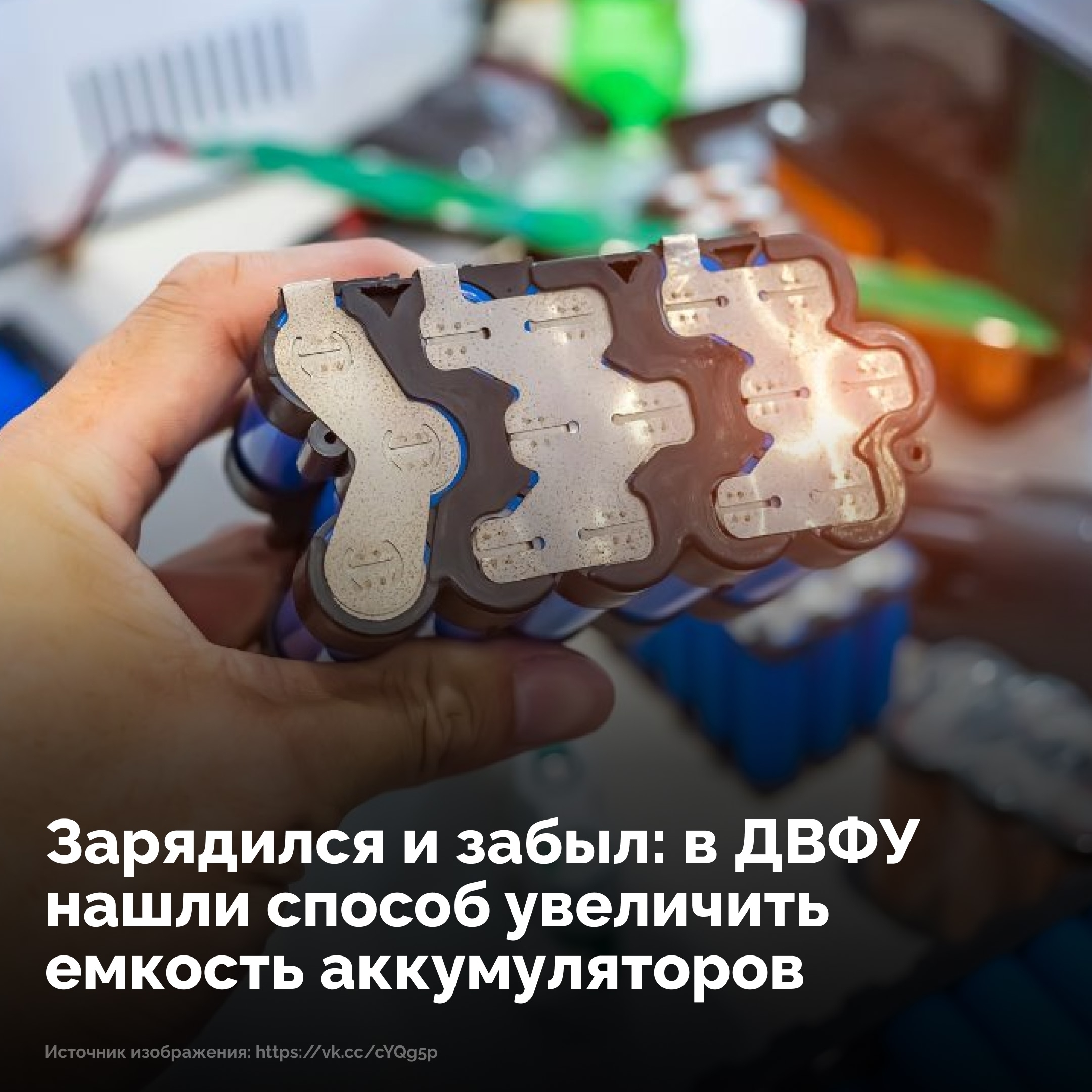 Объявление о питомце в Домодедове — фото объявления