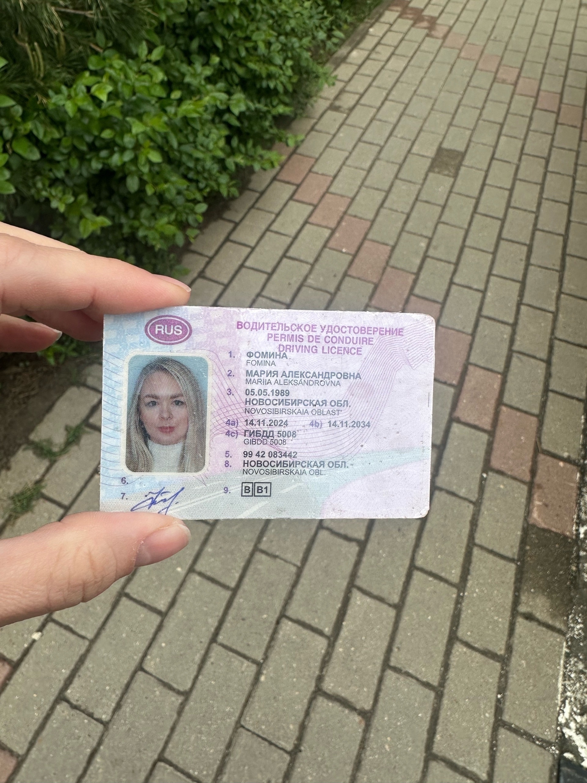 Объявление о питомце в Жуковском — фото объявления