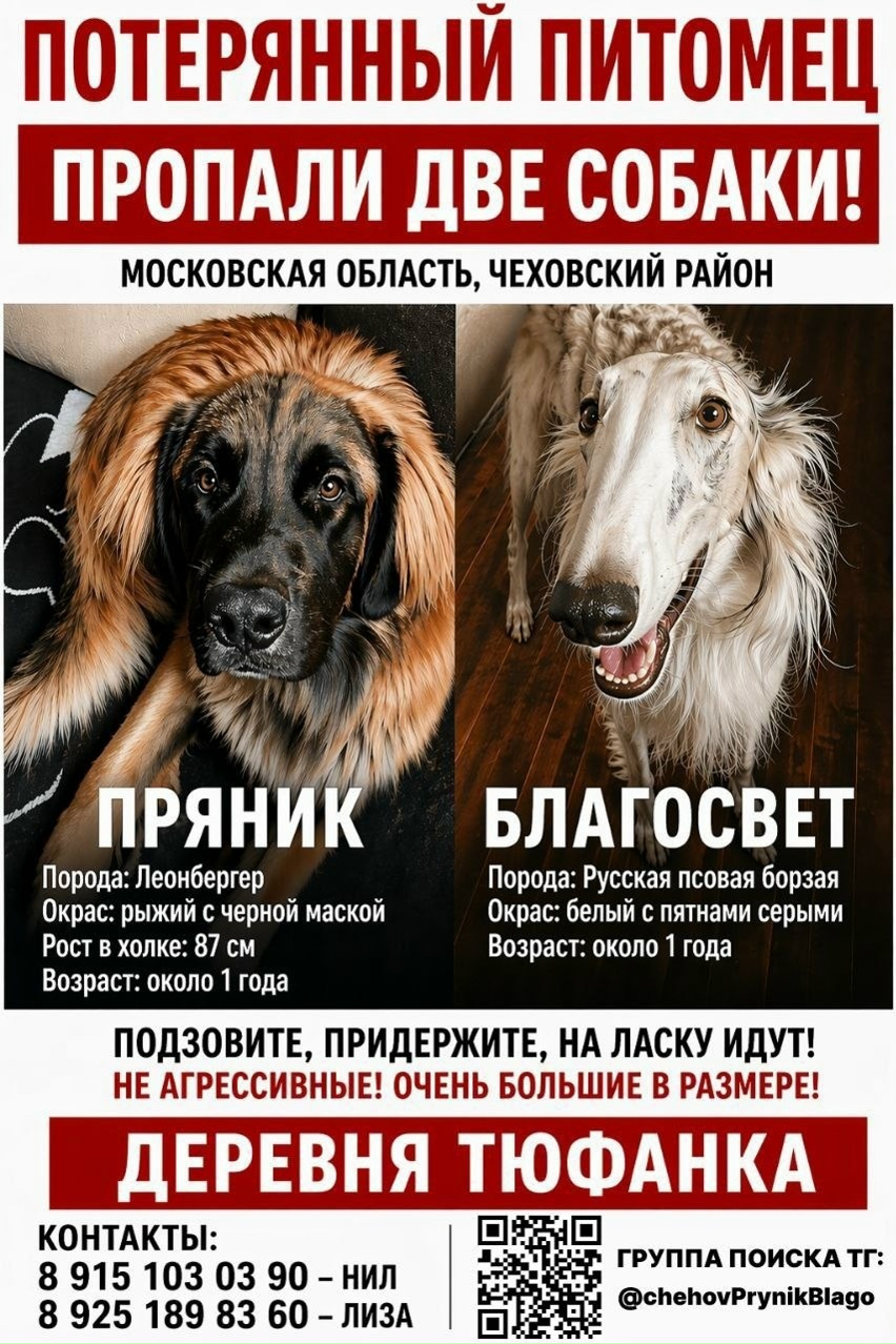 Пропала собака в Другие города