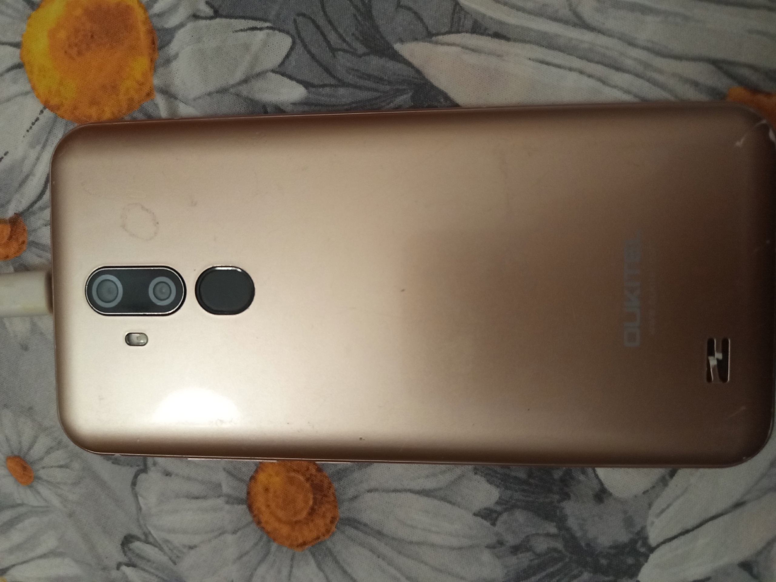 Найдена собака в Снежинске — фото объявления