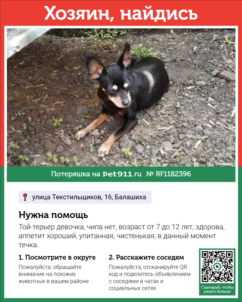 Найдена собака в Других городах — фото объявления