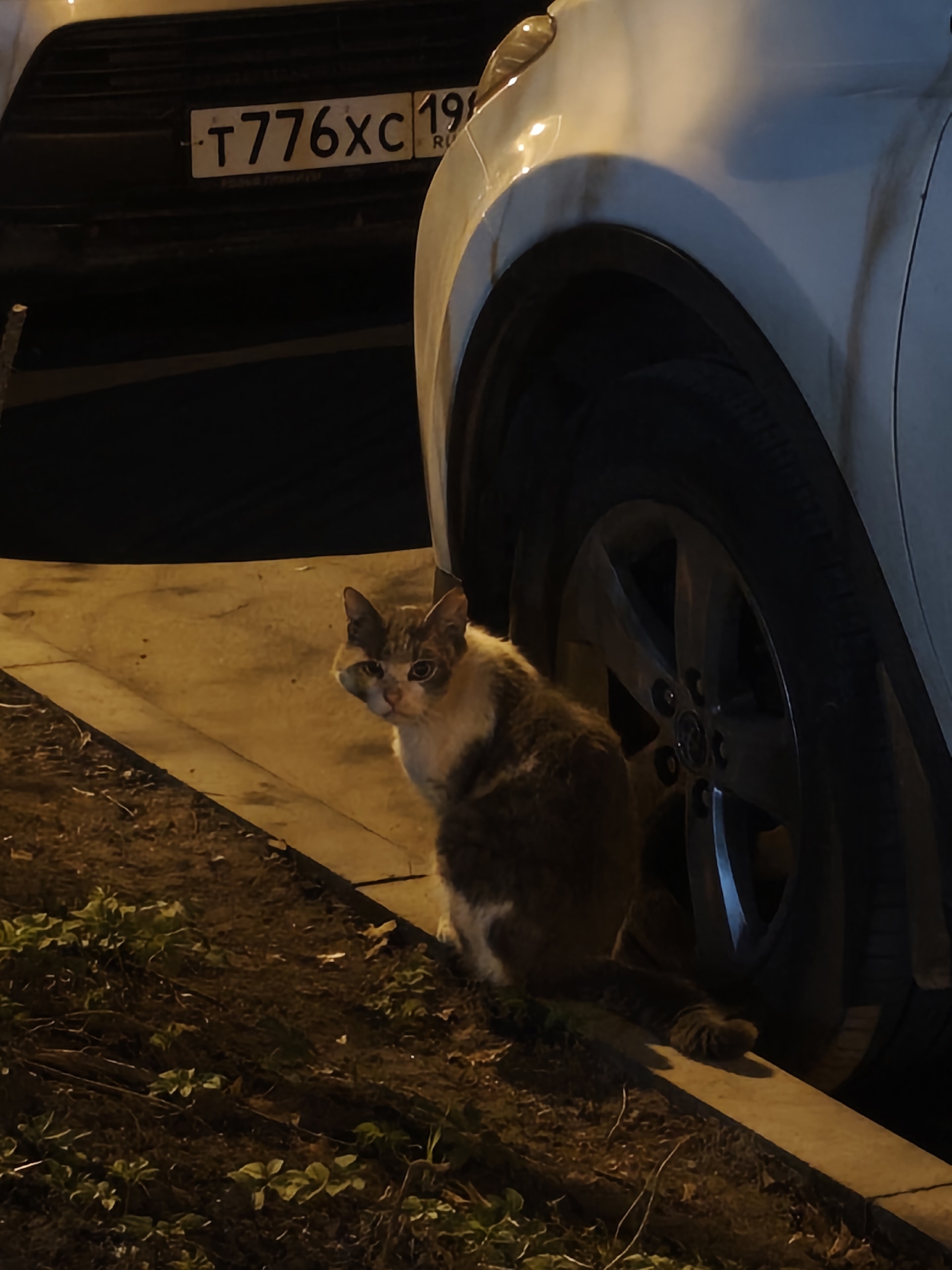 Санкт-Петербург