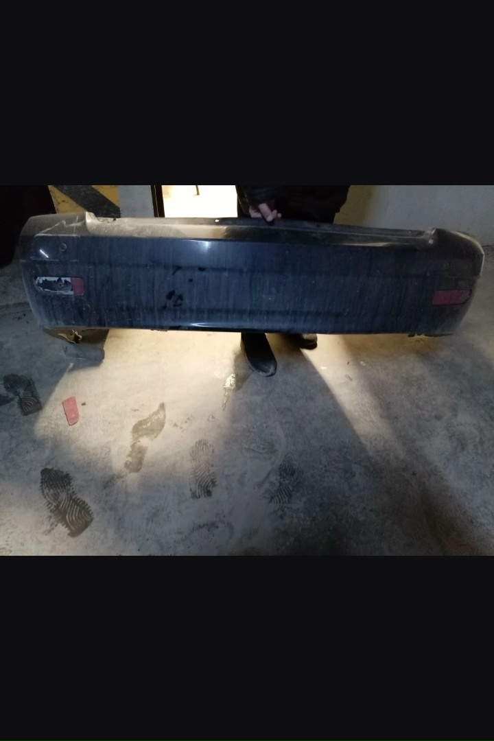 Найден питомец в Другие города