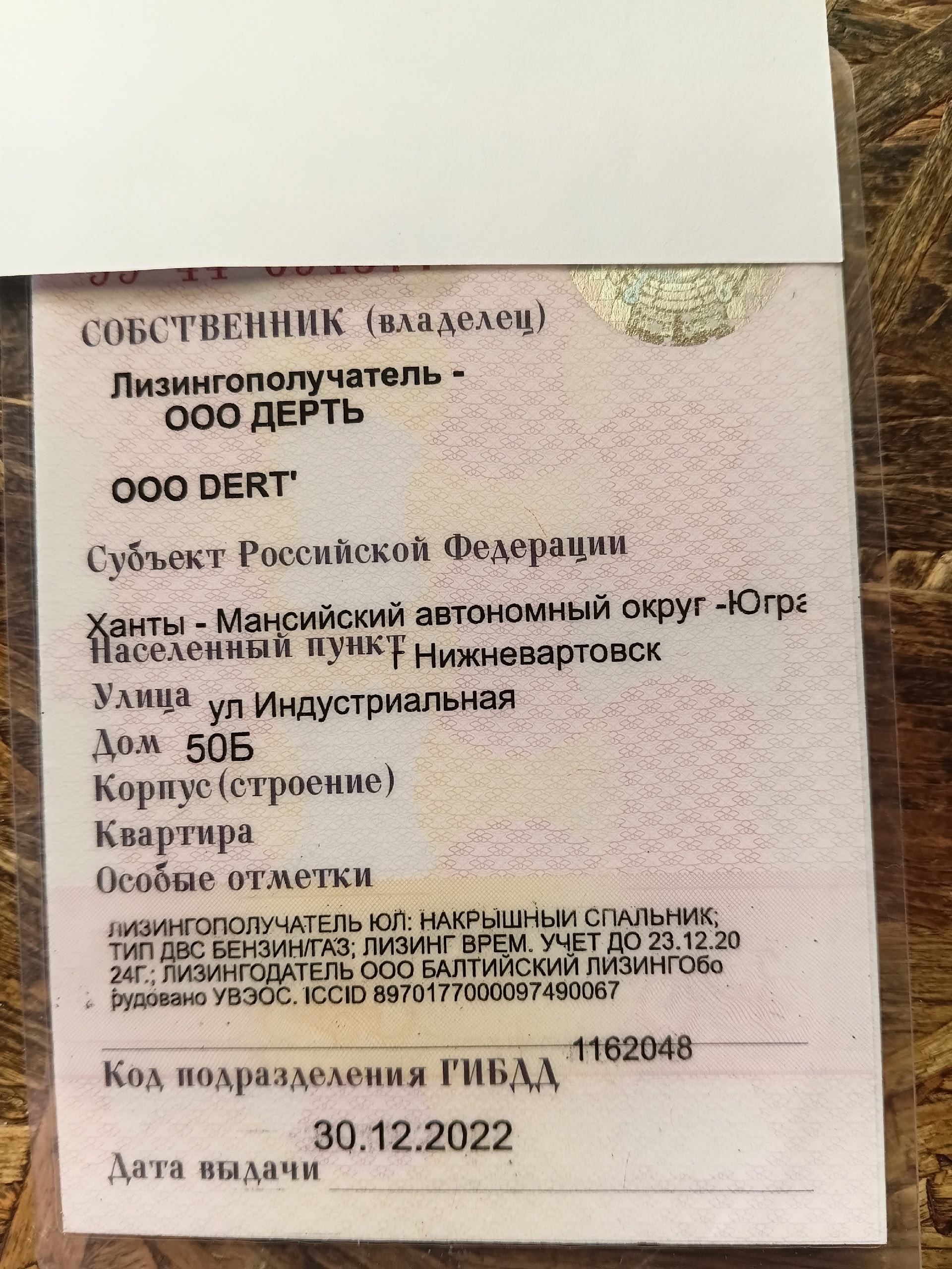 Найден питомец в Другие города