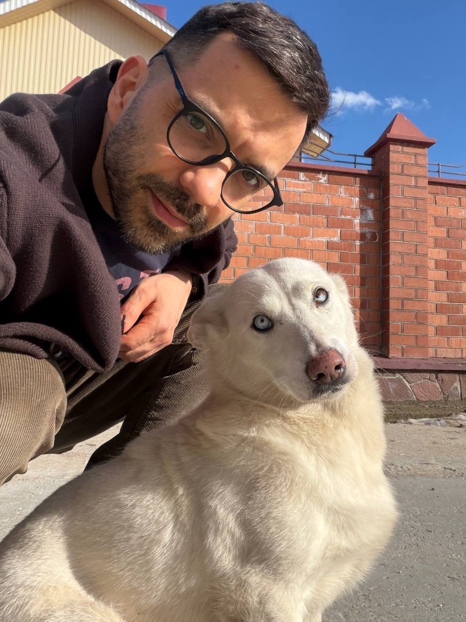 Найдена собака в Других городах — фото объявления
