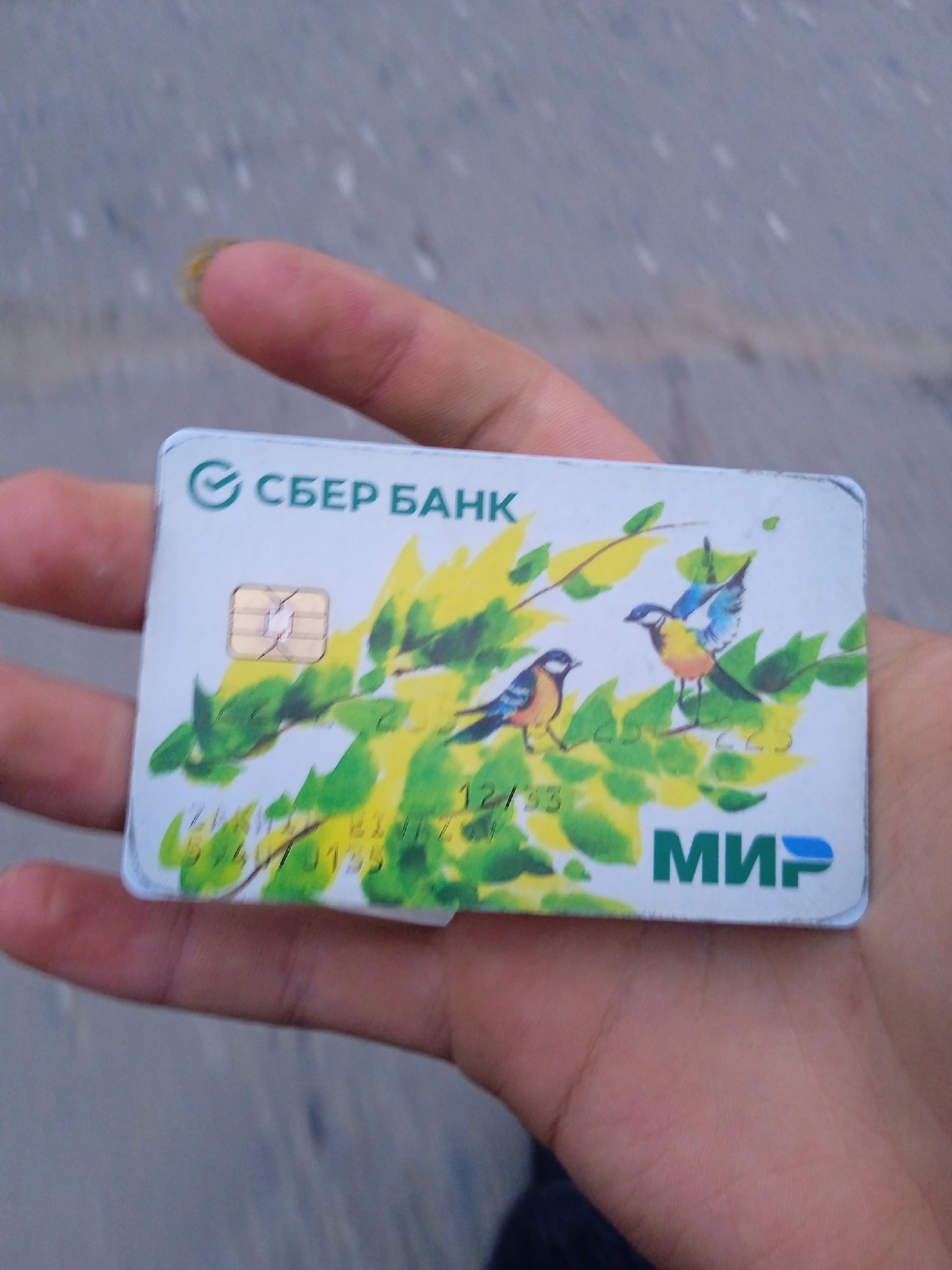 Объявление о питомце в Других городах — фото объявления