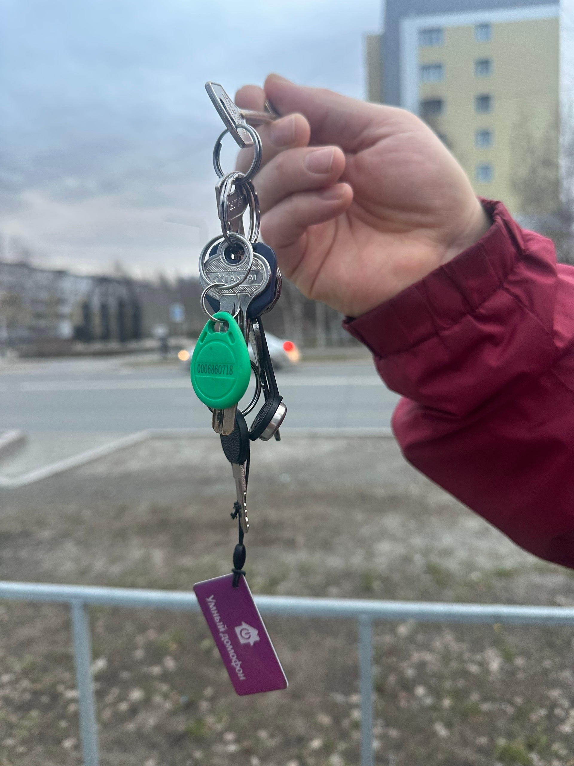 Объявление о питомце в Других городах — фото объявления