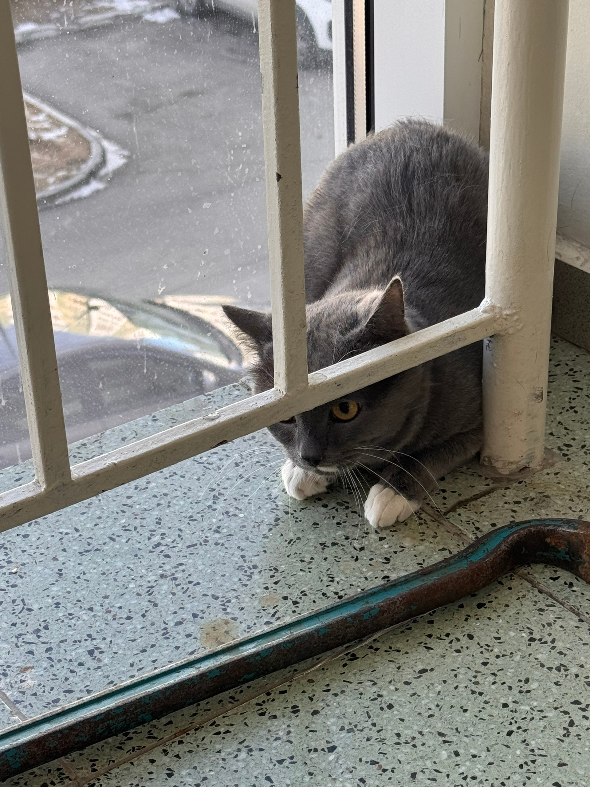 📢 ДОСКА ОБЪЯВЛЕНИЙ 📢