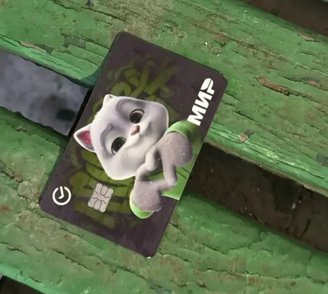 Найден питомец в Другие города