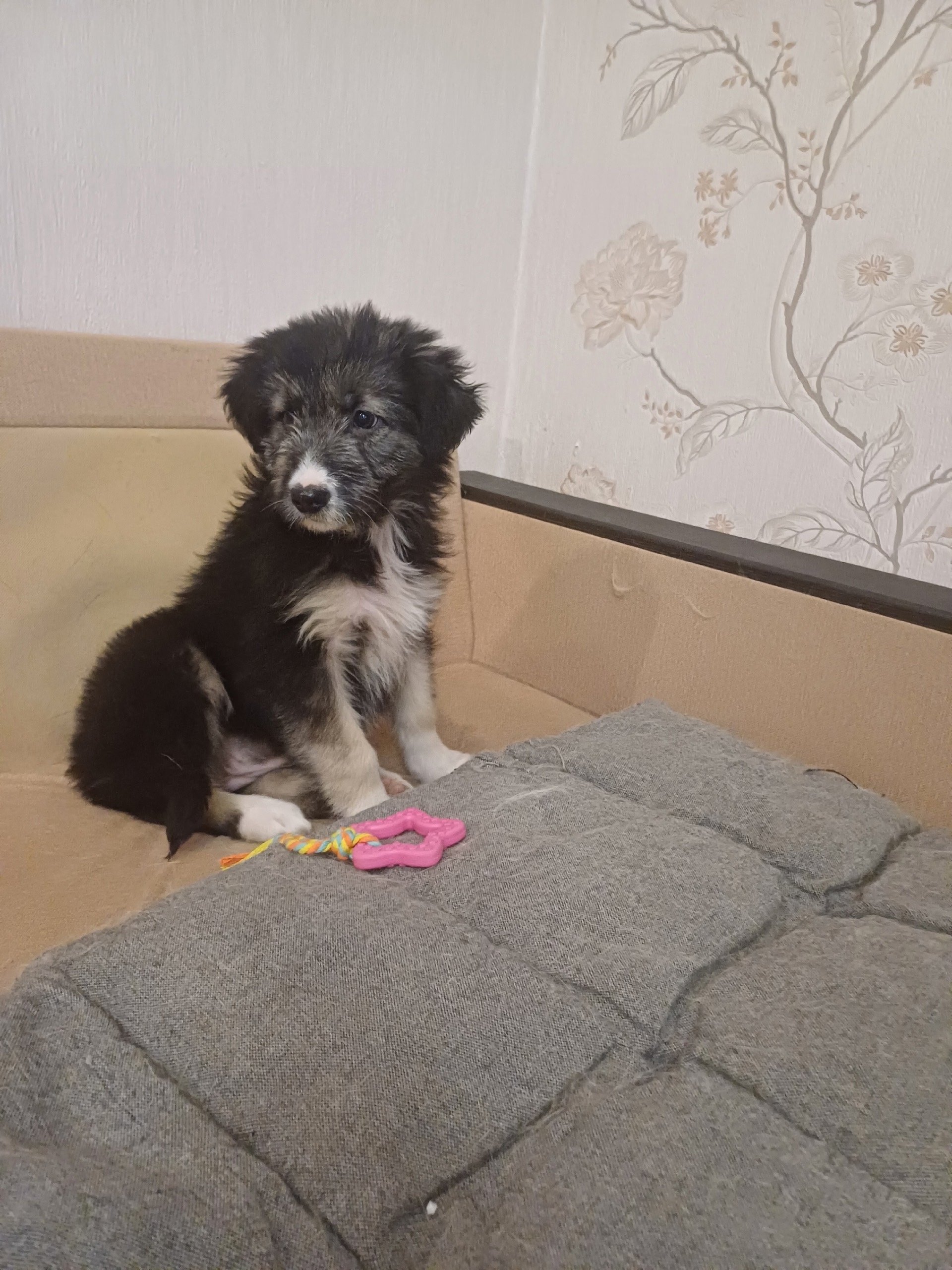 ПОМОГАЕМ ИНФОРМАЦИОННО