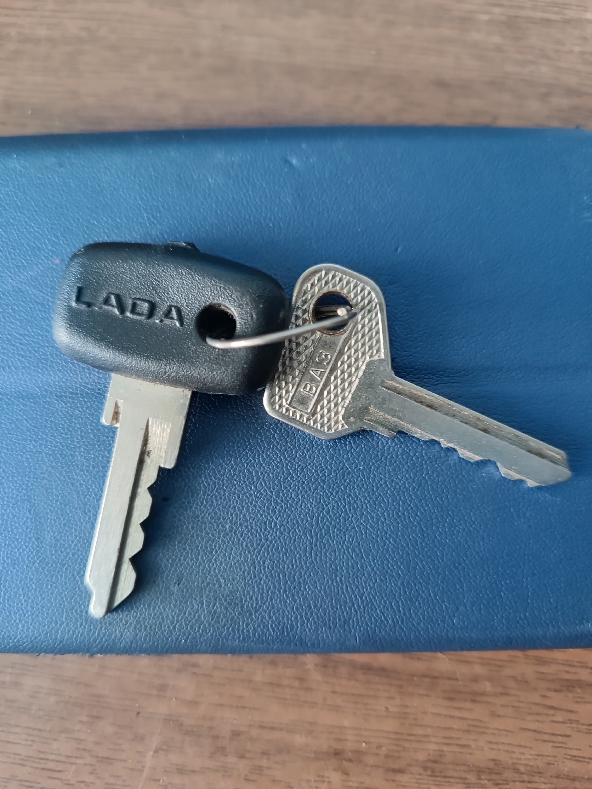 Объявление о питомце в Других городах — фото объявления