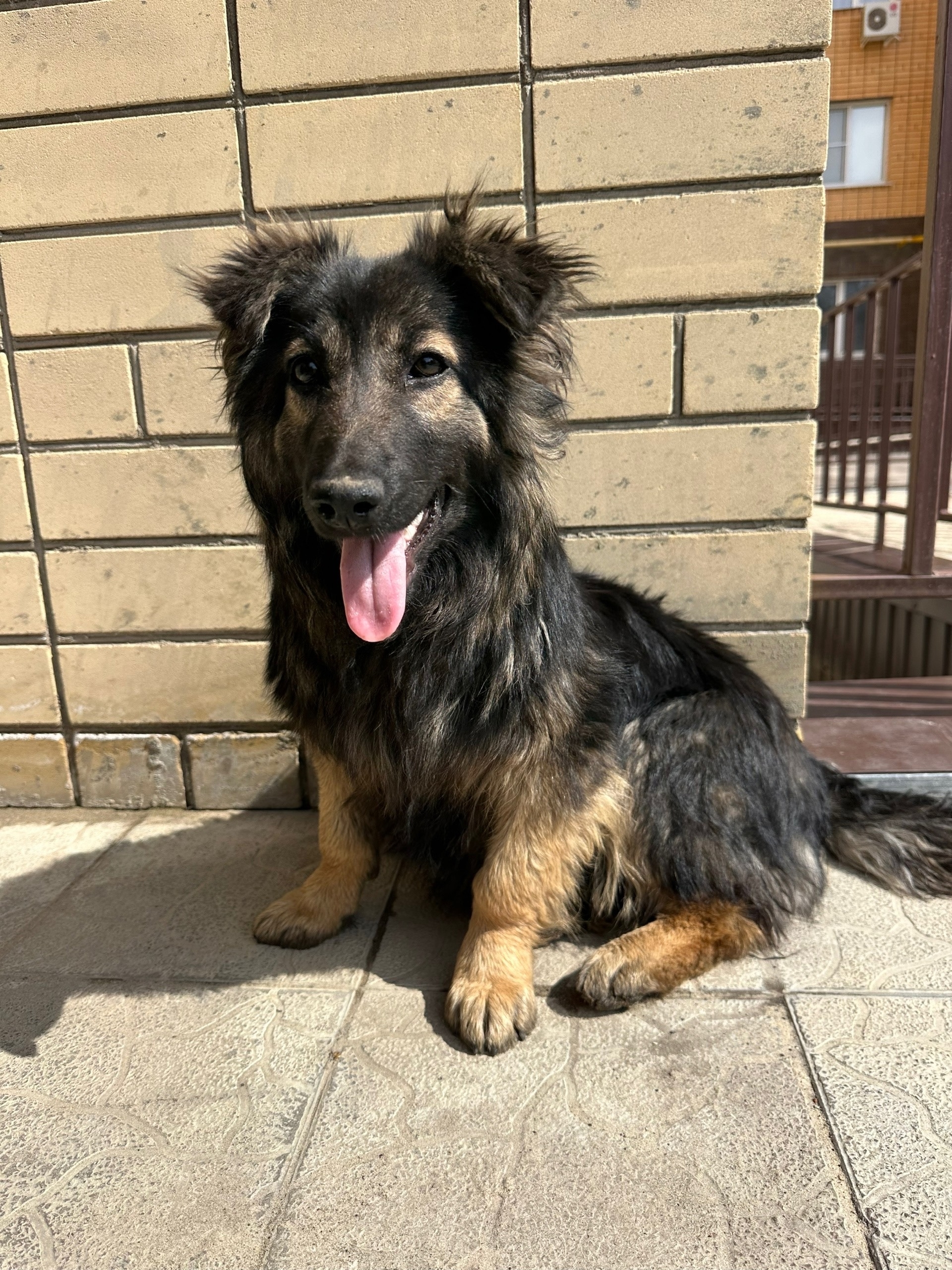 Мичуринск❗❗❗Всего 10 дней на поиск дома🆘🆘🆘🆘🆘🆘🆘🆘🆘🆘🆘