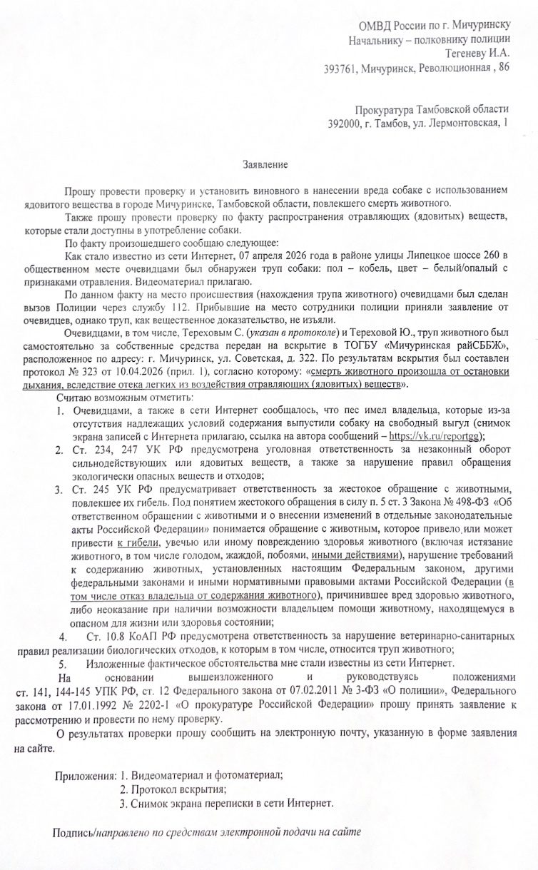 Найдена собака в Другие города