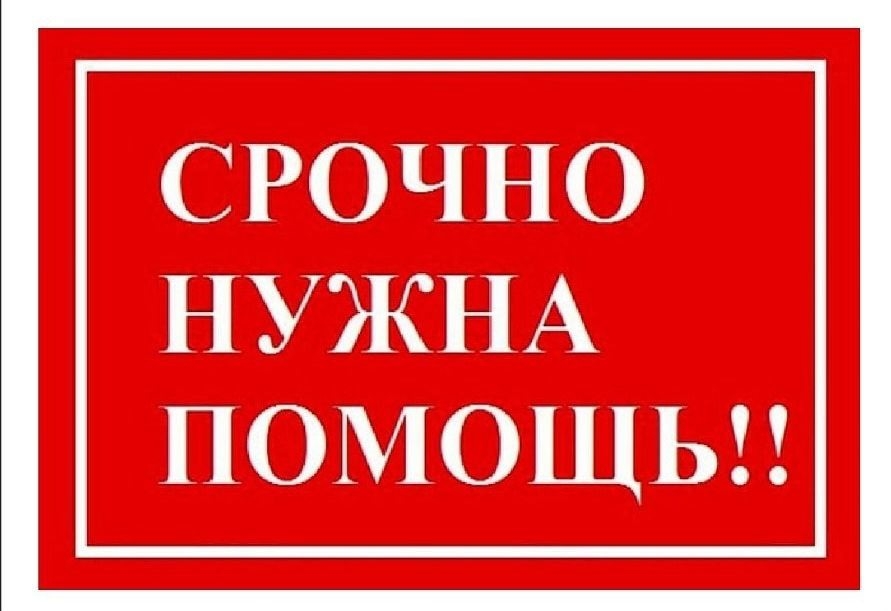 Объявление о питомце в Других городах — фото объявления