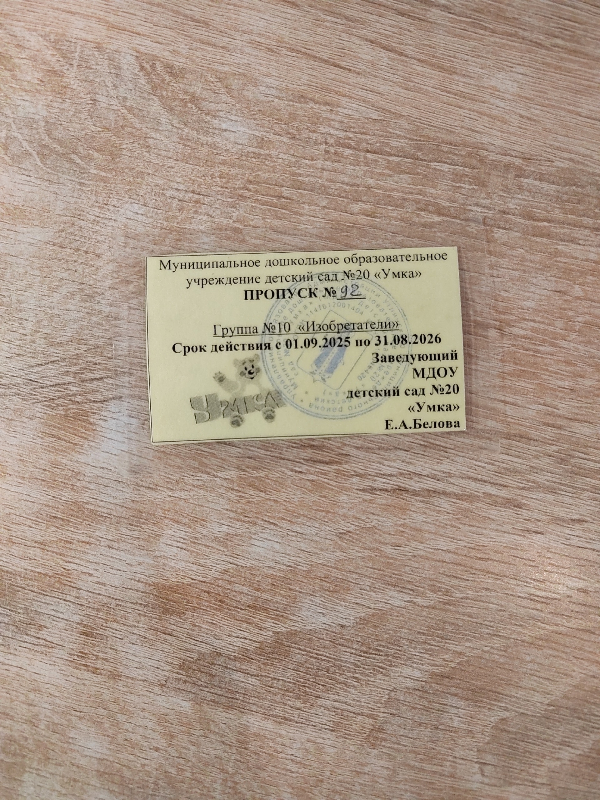 Найден питомец в Другие города