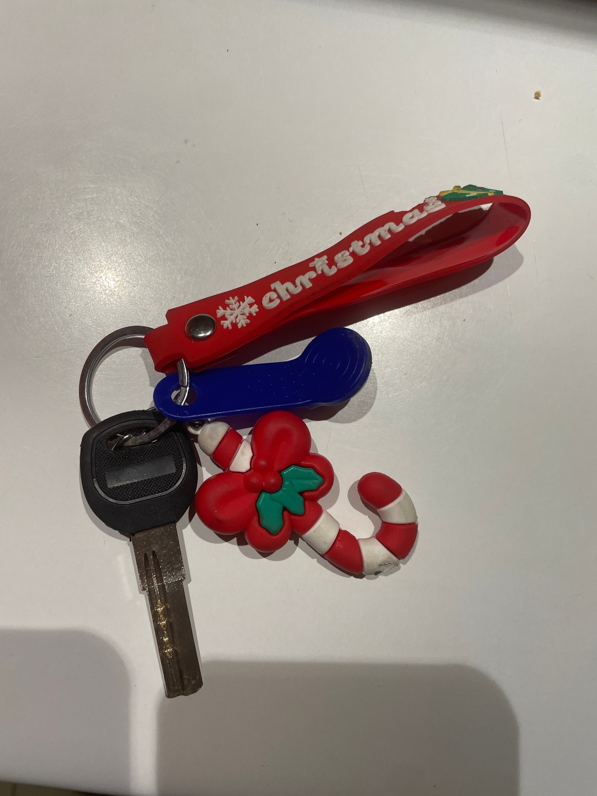 Объявление о питомце в Других городах — фото объявления