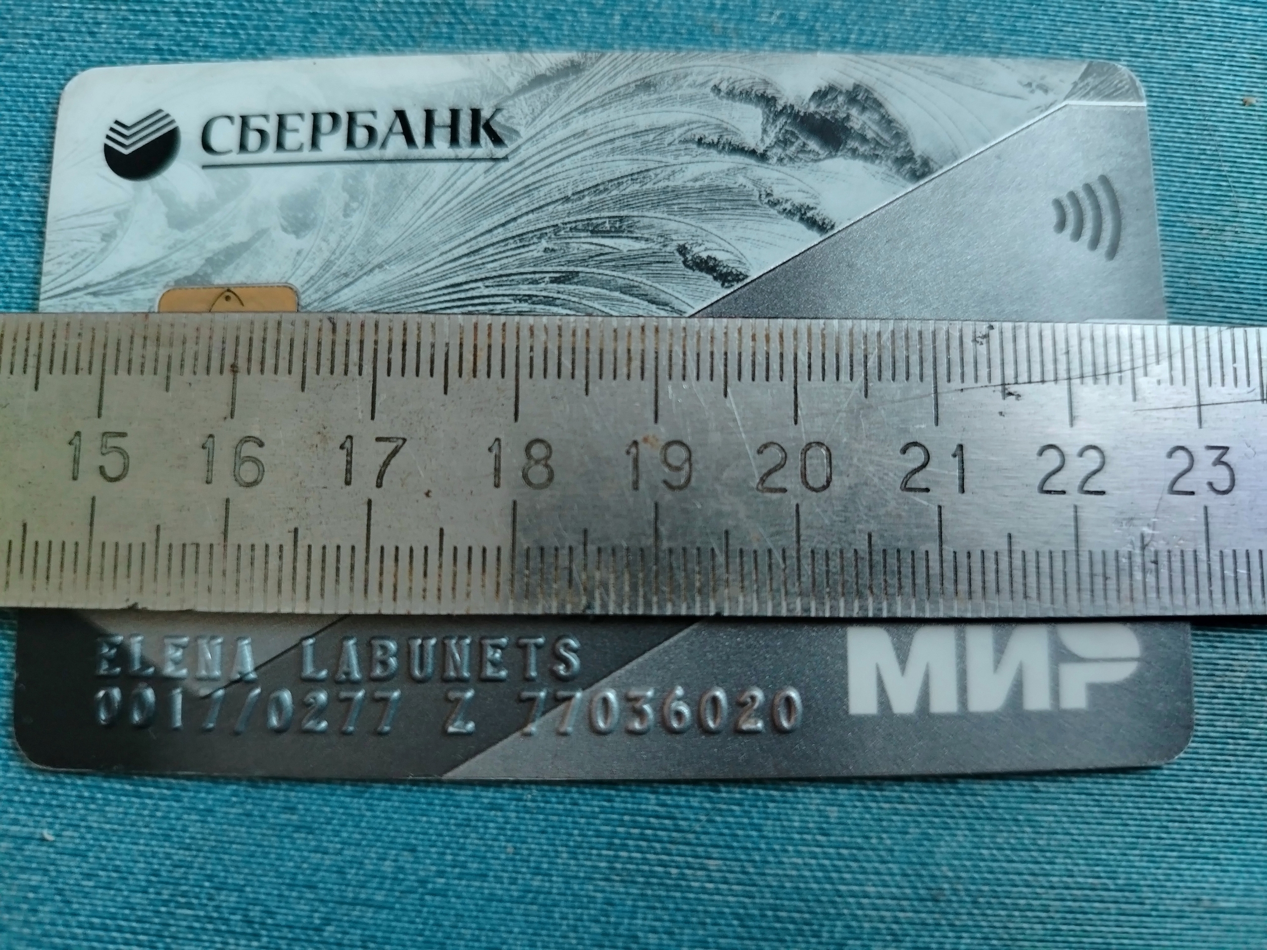 Найдена собака в Других городах — фото объявления