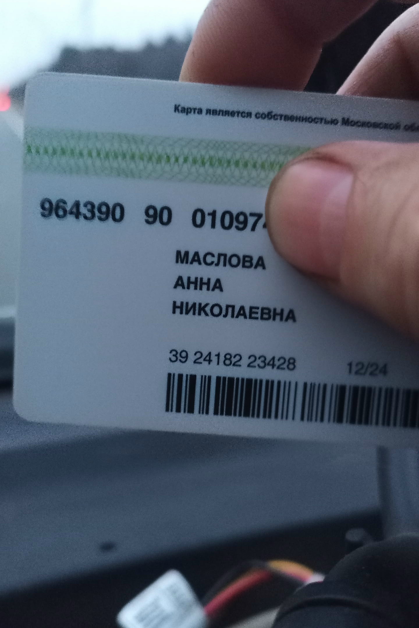 Найден питомец в Другие города