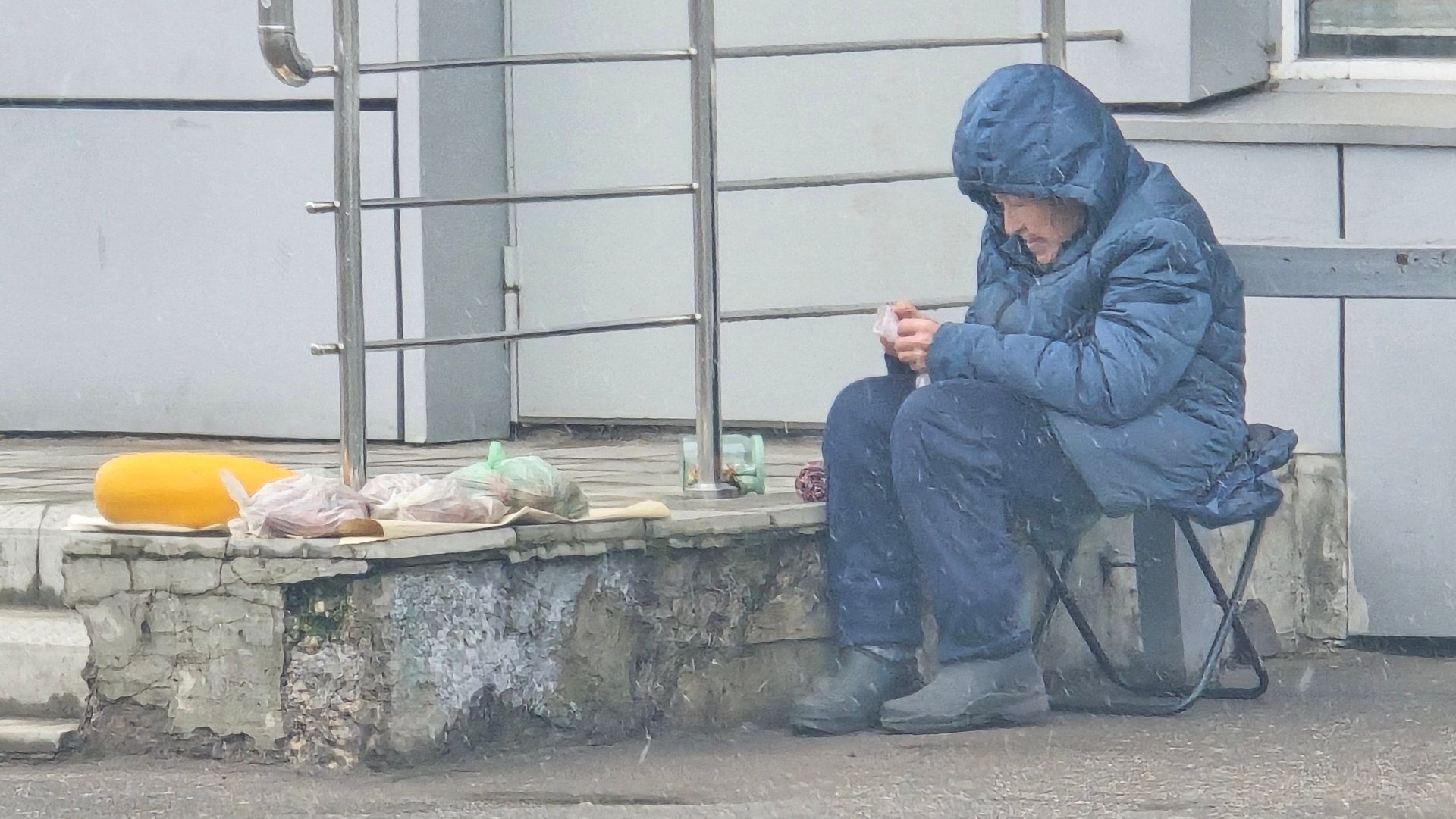 Объявление о питомце в Другие города