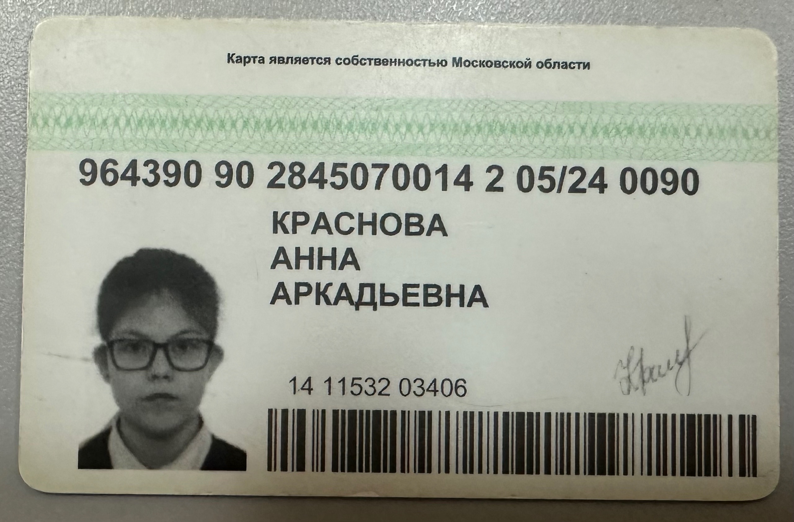 Найдена собака в Другие города