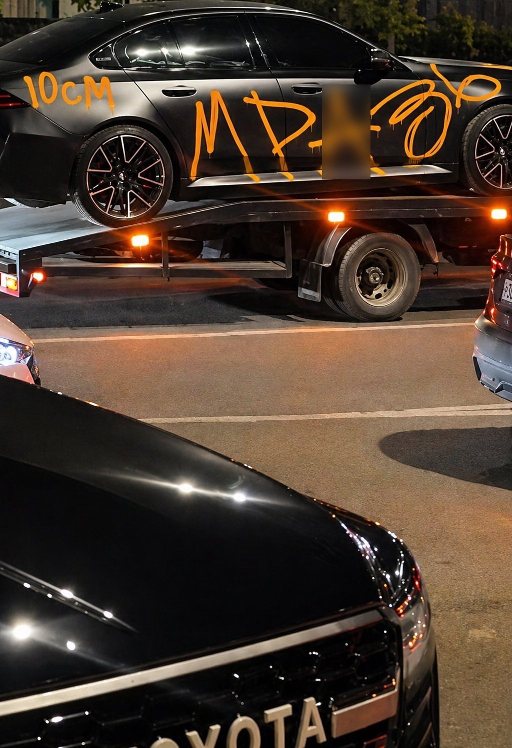 Объявление о питомце в Другие города