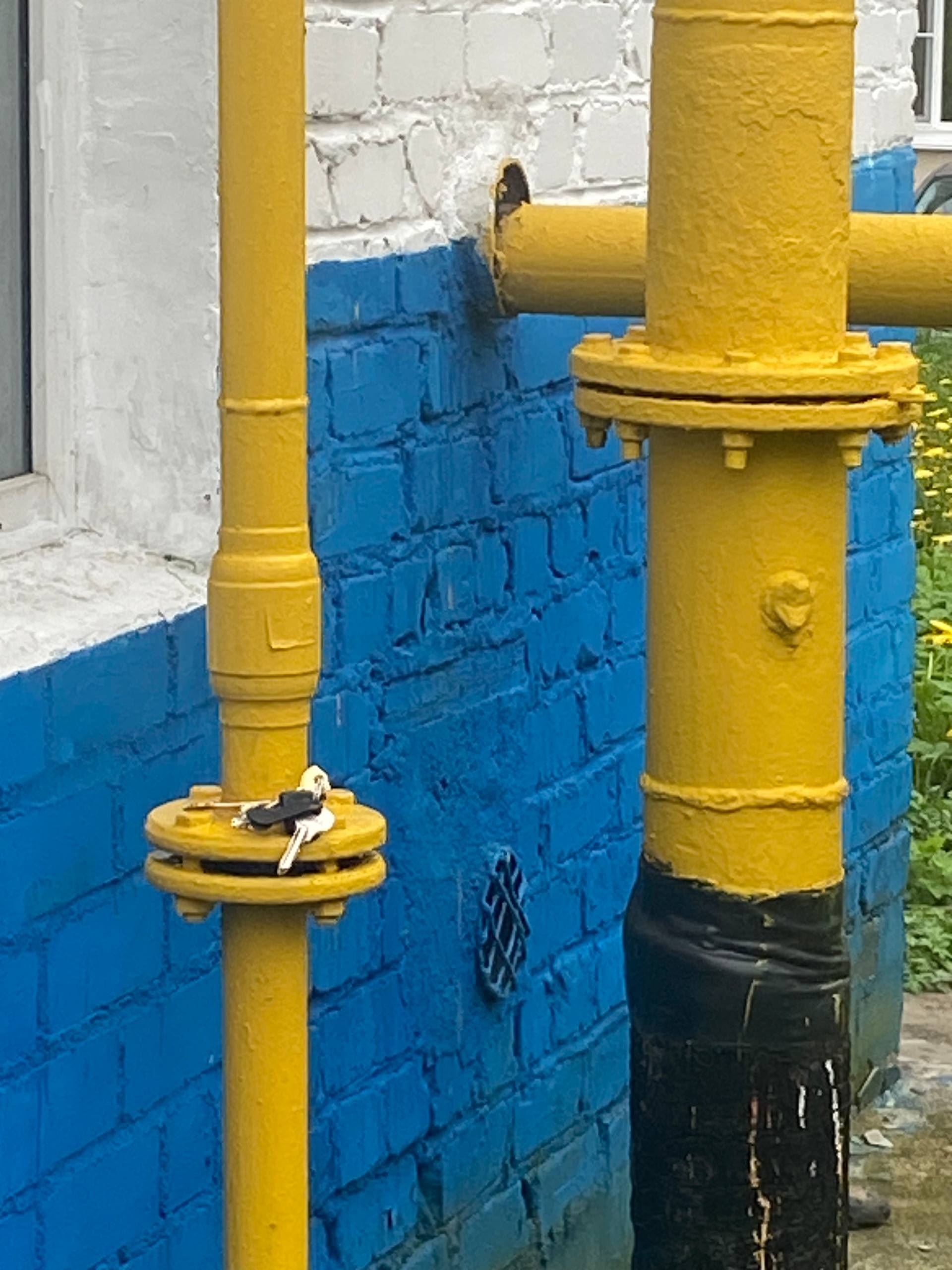 Объявление о питомце в Других городах — фото объявления