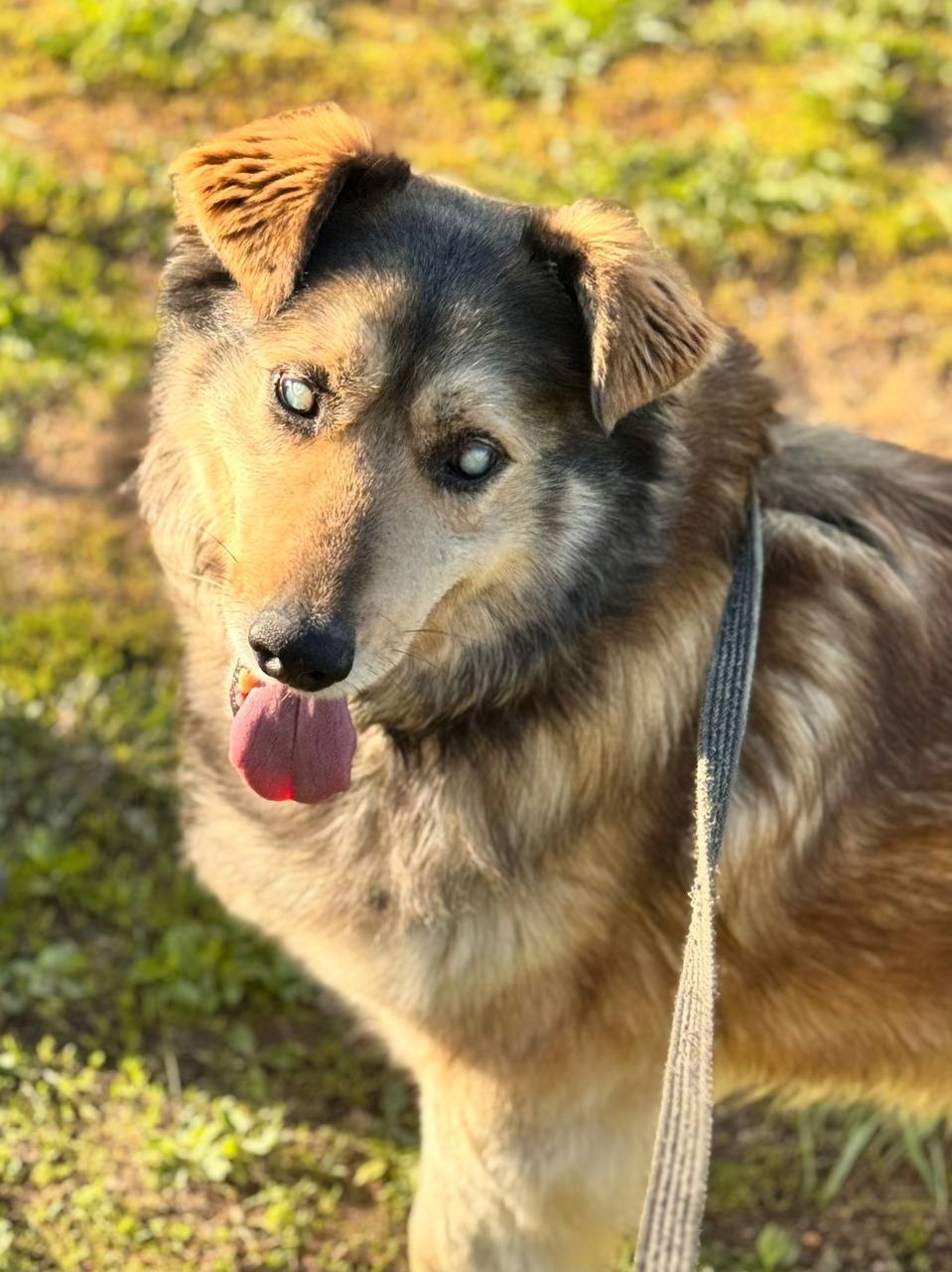 Москва и МО ( Сергиев Посад)