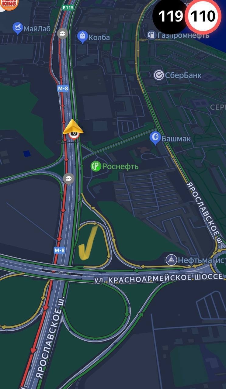 Найдена собака в Других городах — фото объявления