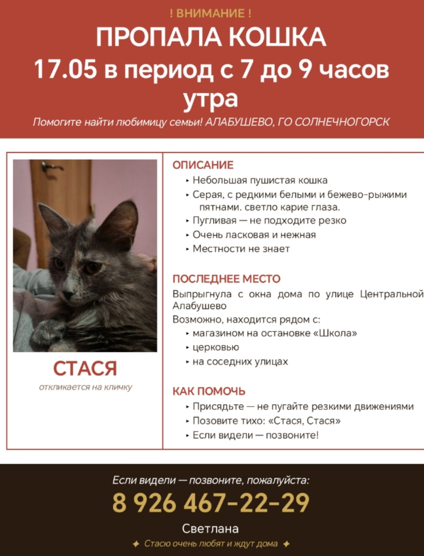 Найдена кошка в Других городах — фото объявления