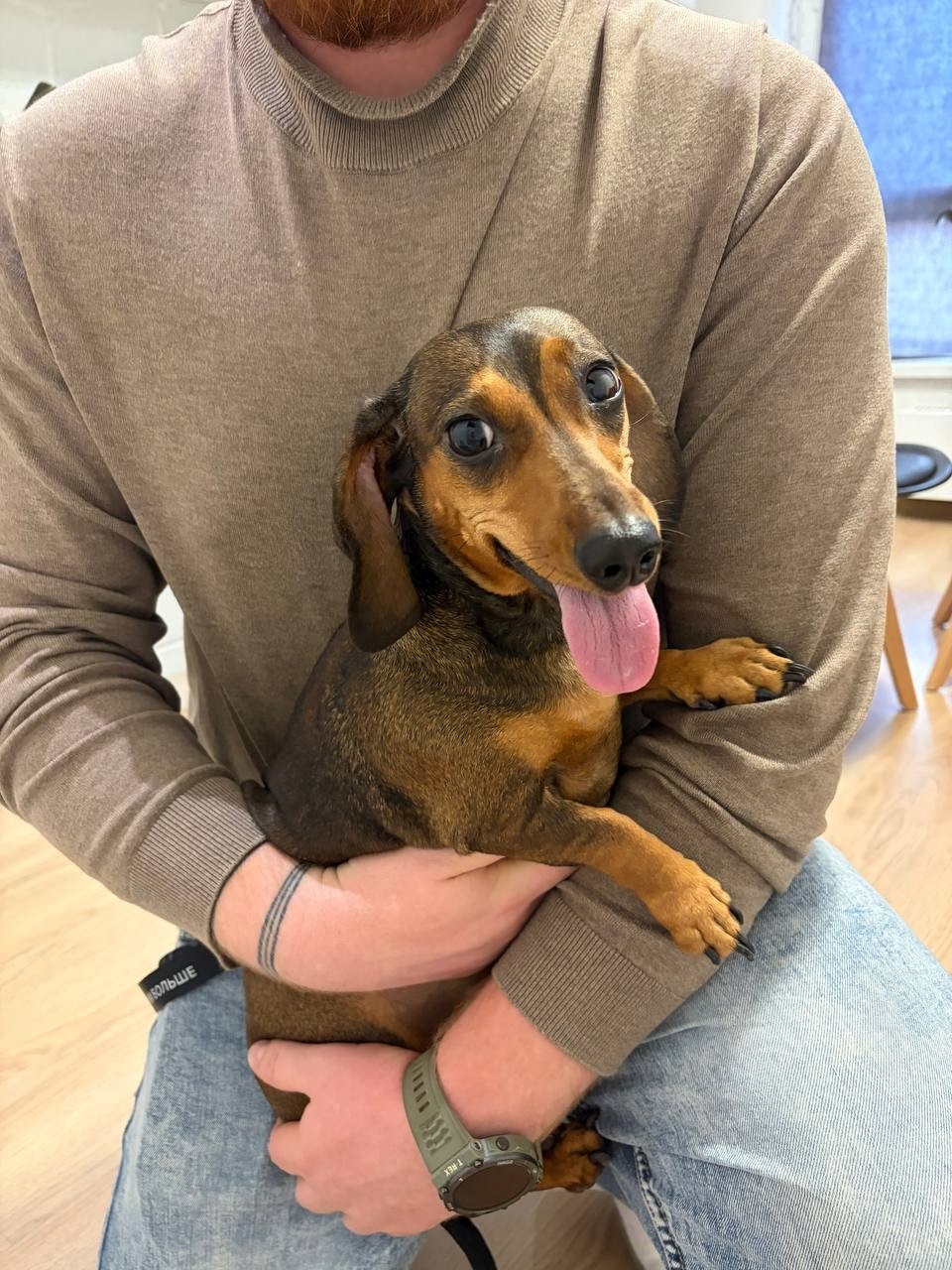 Найдена собака в Другие города