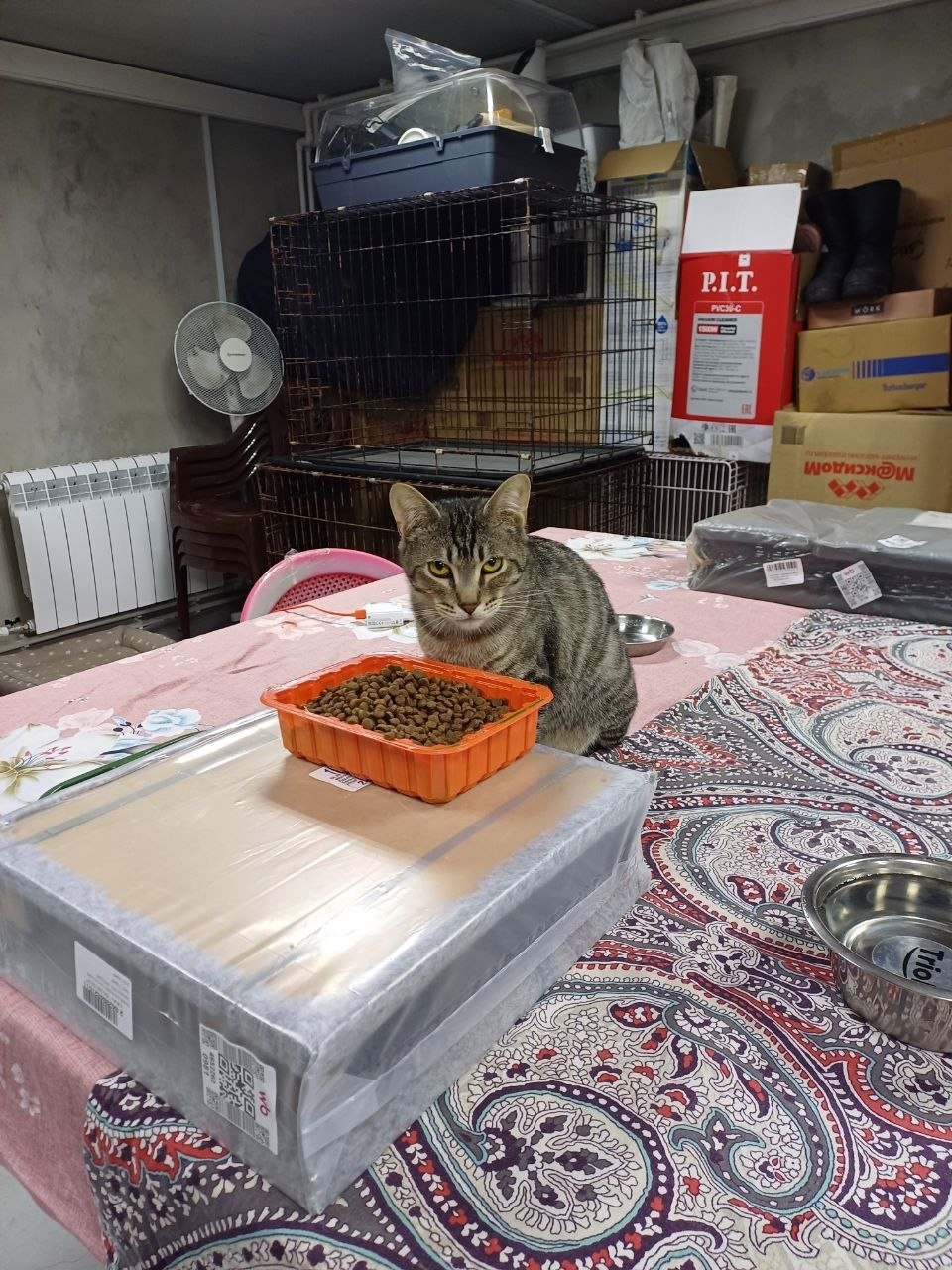 Павловский посад, МО