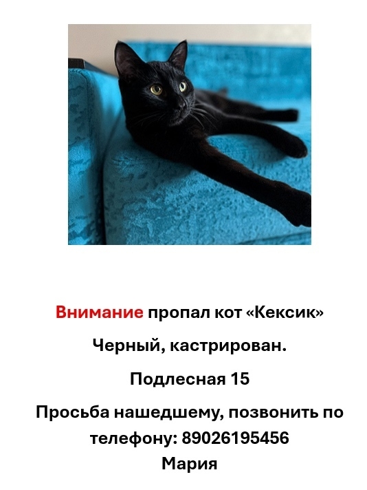 Объявление о питомце в Других городах — фото объявления