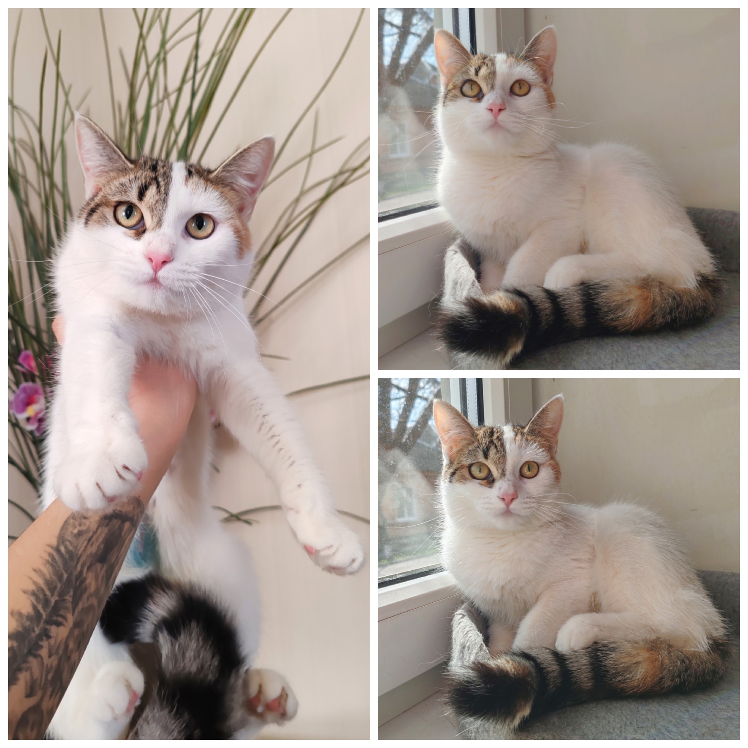 Ростов-на-Дону.