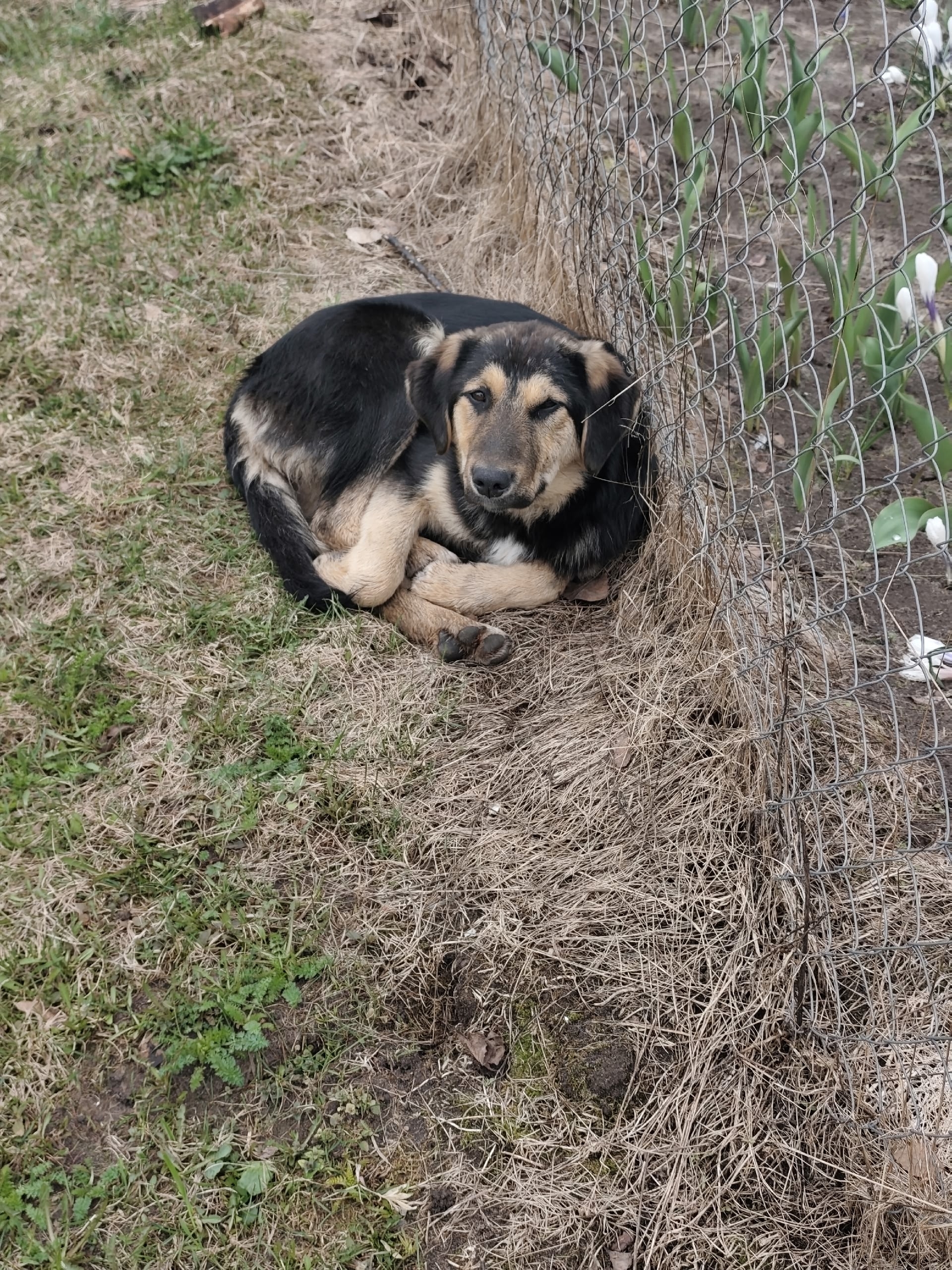 Станция Осинки Семеновский район